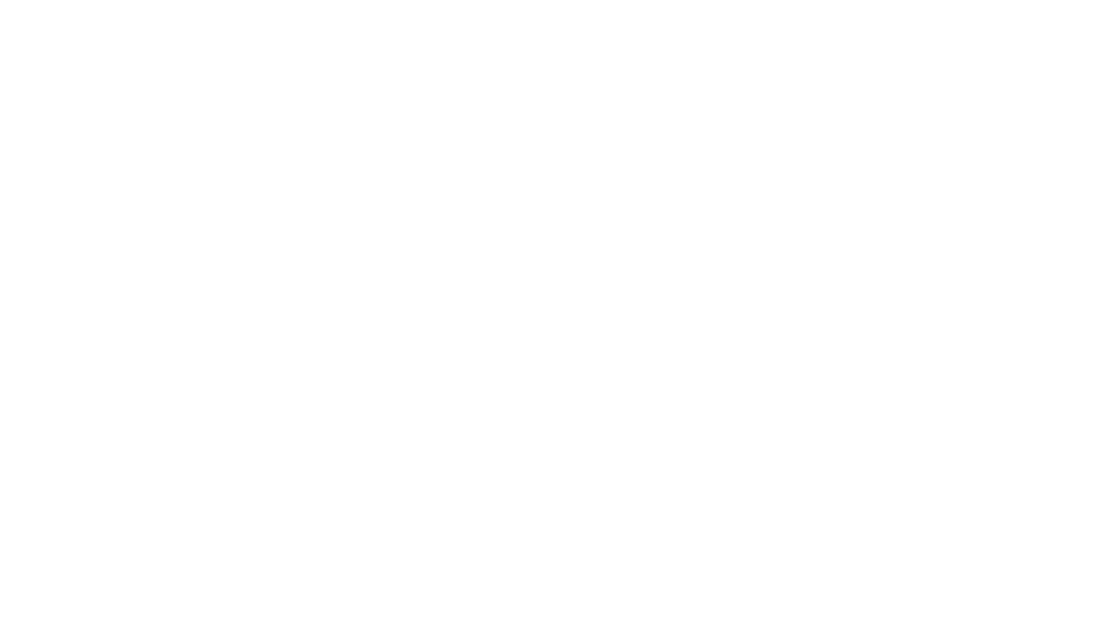 Logo AgNumo